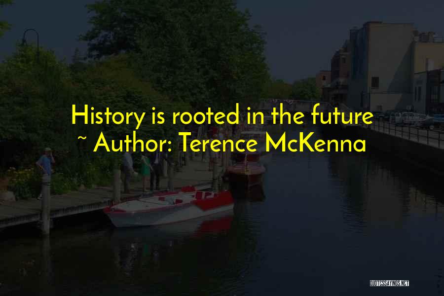 Terence McKenna Quotes 80318