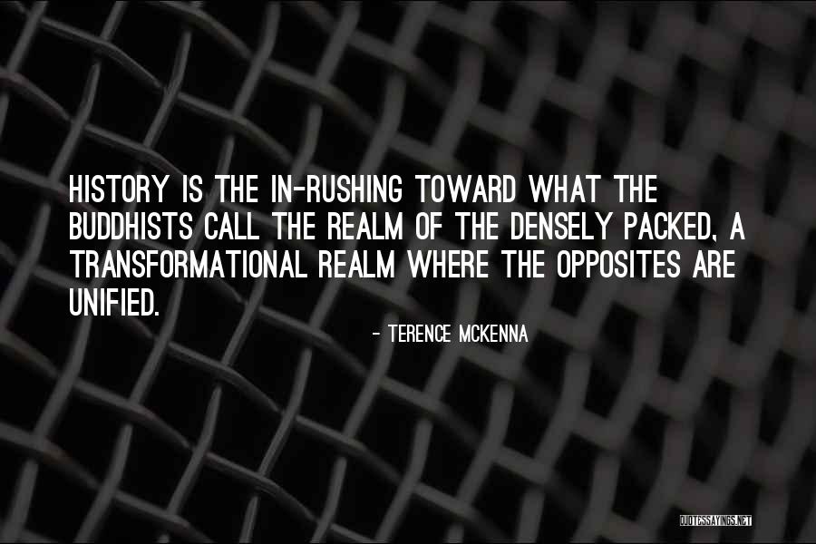 Terence O'neill Quotes By Terence McKenna Terence O'neill Quotes By Terence McKenna