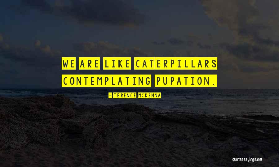 Terence O'neill Quotes By Terence McKenna Terence O'neill Quotes By Terence McKenna