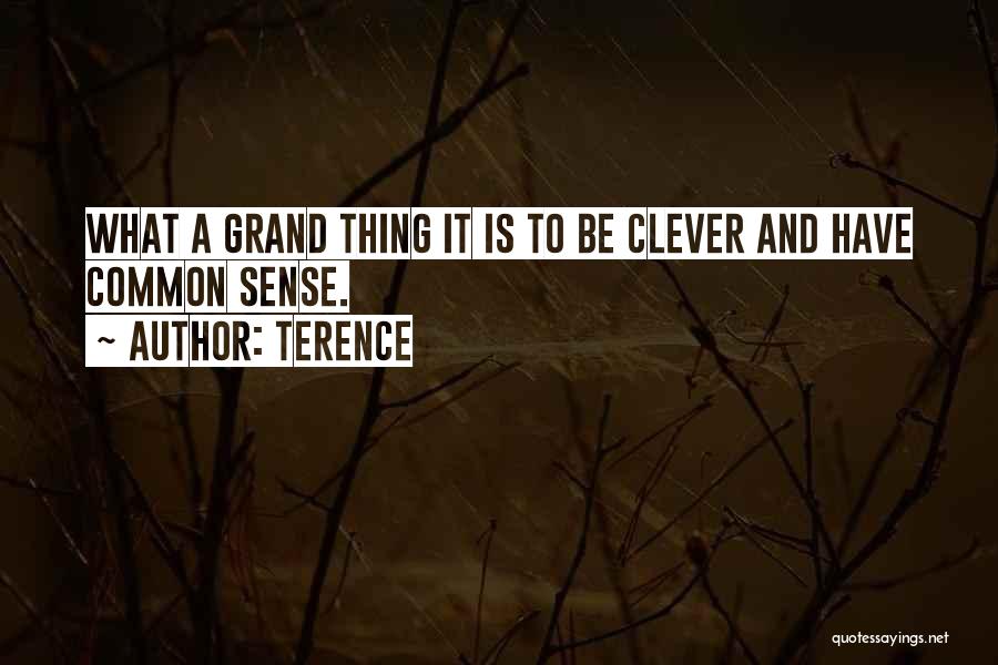 Terence Quotes 1246621