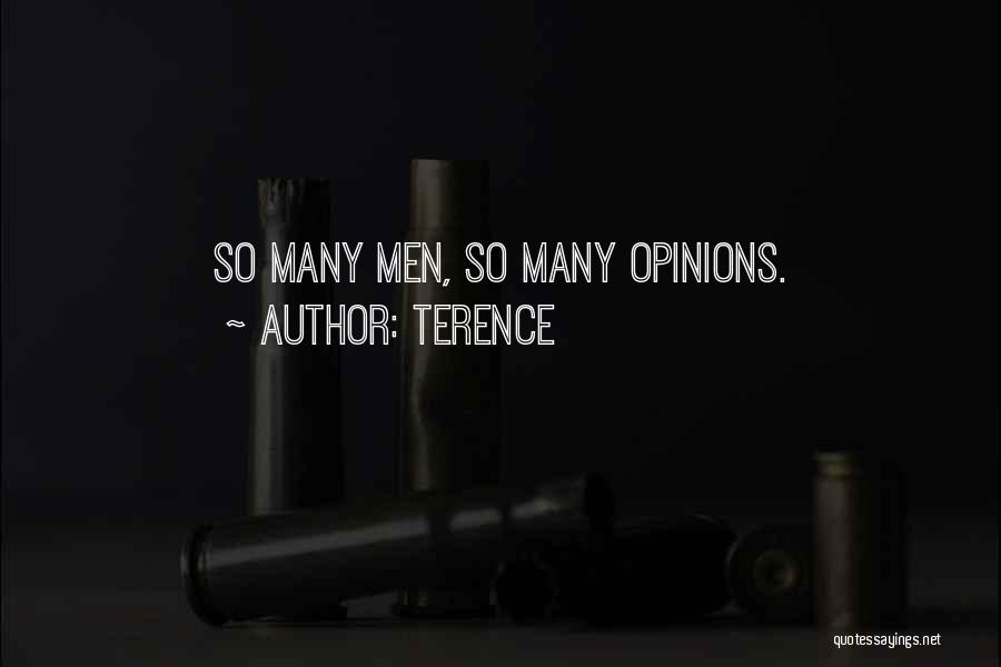 Terence Quotes 1374011