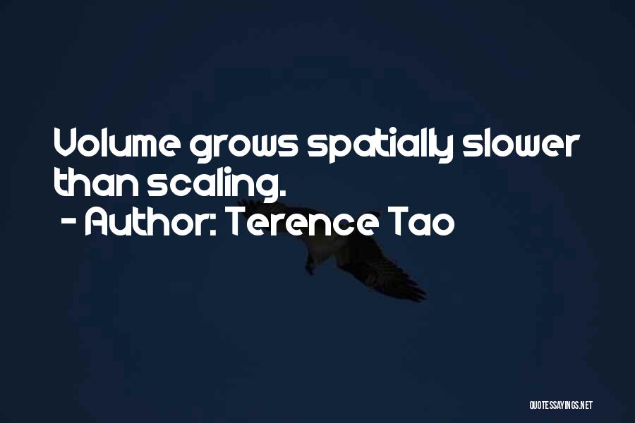 Terence Tao Quotes 2237450