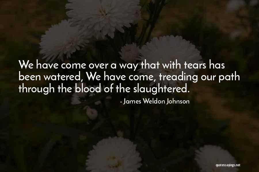 Terentias Quotes By James Weldon Johnson Terentias Quotes By James Weldon Johnson