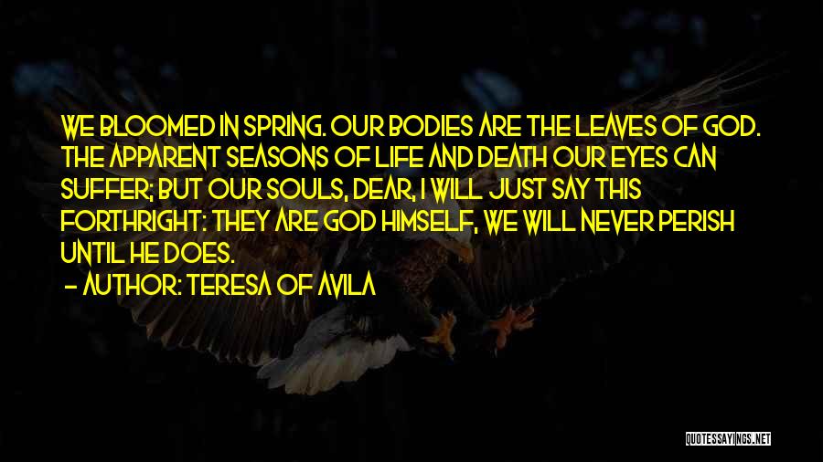 Teresa Of Avila Quotes 140431