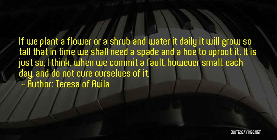 Teresa Of Avila Quotes 520585