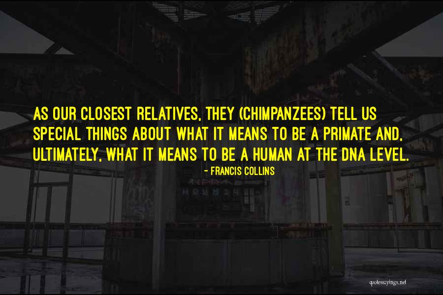 Teresinha Elisa Quotes By Francis Collins Teresinha Elisa Quotes By Francis Collins