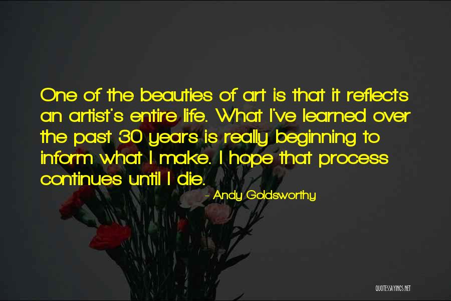 Terhorst Mfg Quotes By Andy Goldsworthy