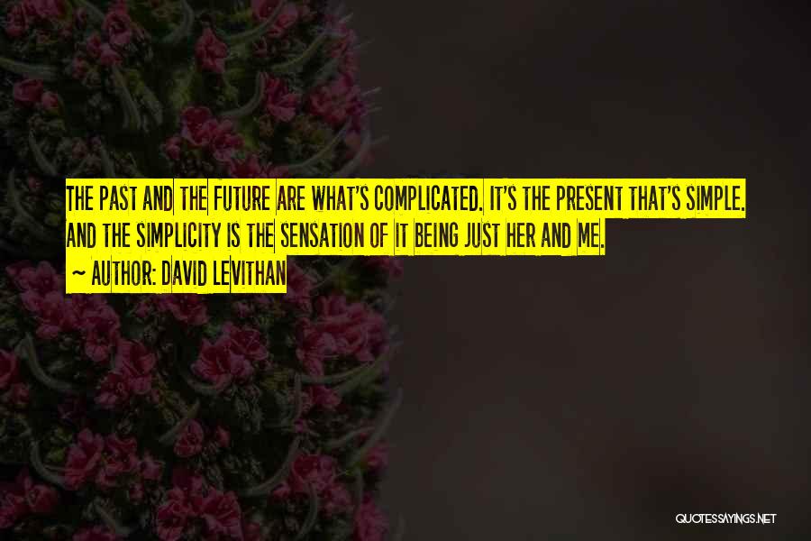 Teri Meri Jodi Quotes By David Levithan