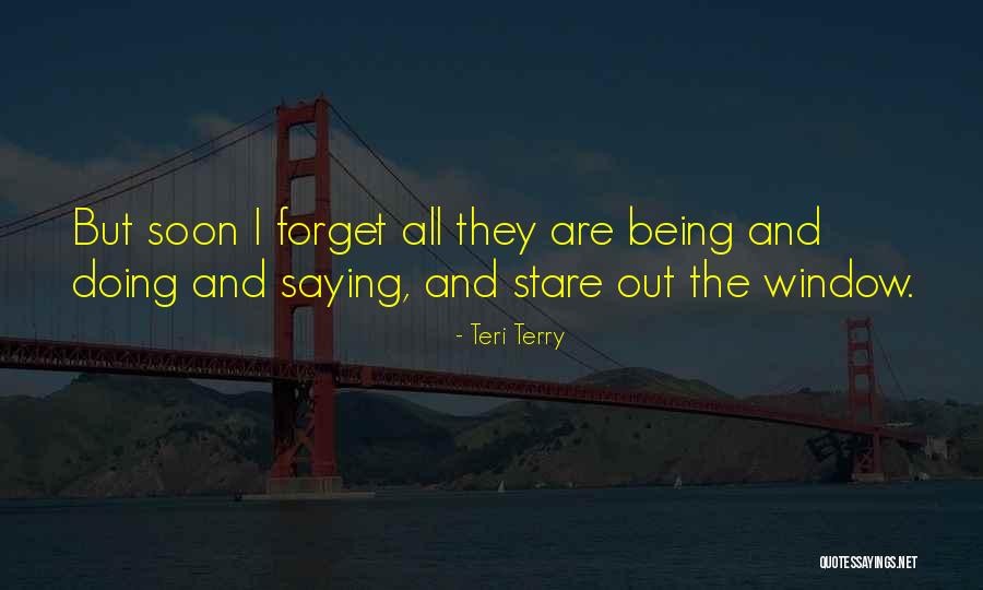 Teri Terry Quotes 1096189