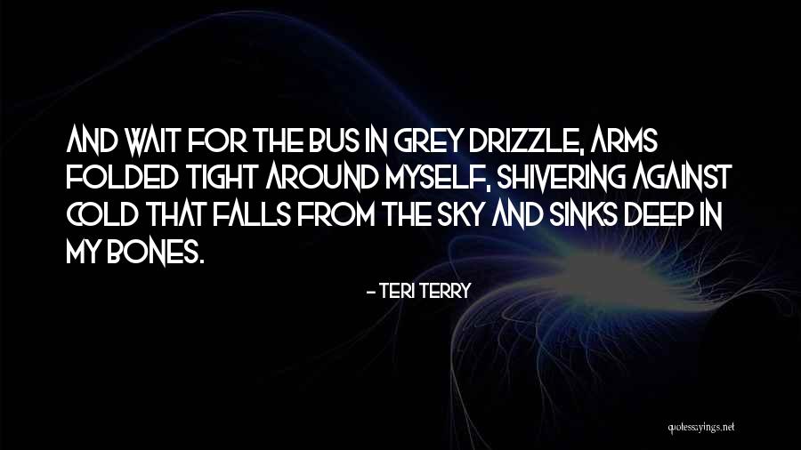 Teri Terry Quotes 1659402