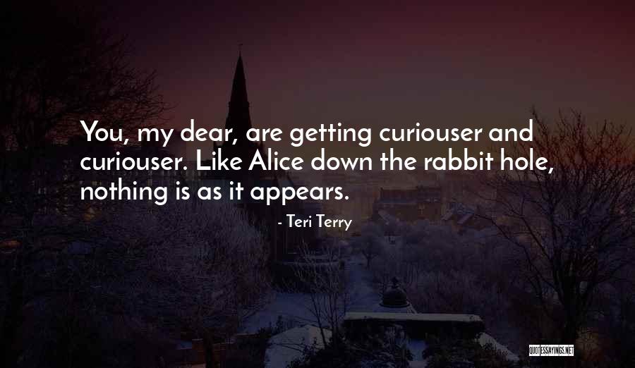 Teri Terry Quotes 660292