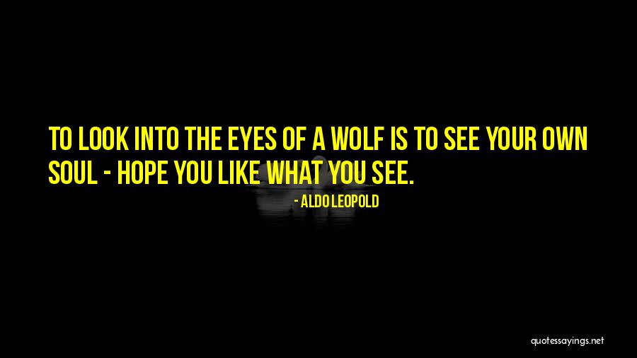Terima Kasih Guruku Quotes By Aldo Leopold Terima Kasih Guruku Quotes By Aldo Leopold