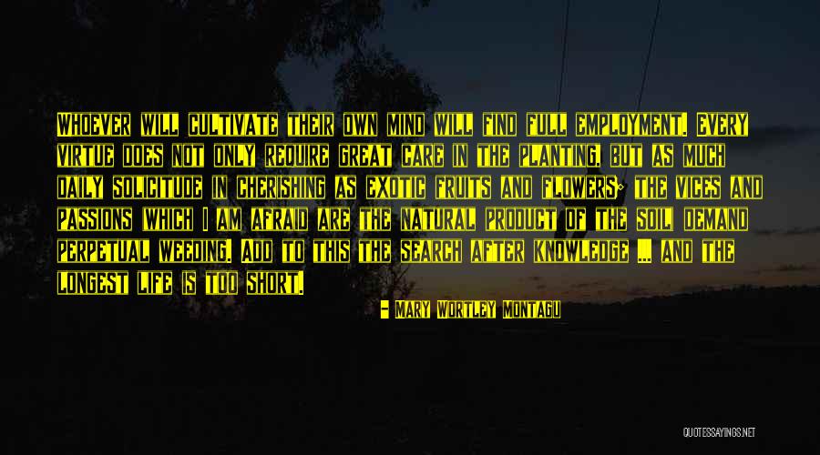 Terima Kasih Ibu Quotes By Mary Wortley Montagu Terima Kasih Ibu Quotes By Mary Wortley Montagu