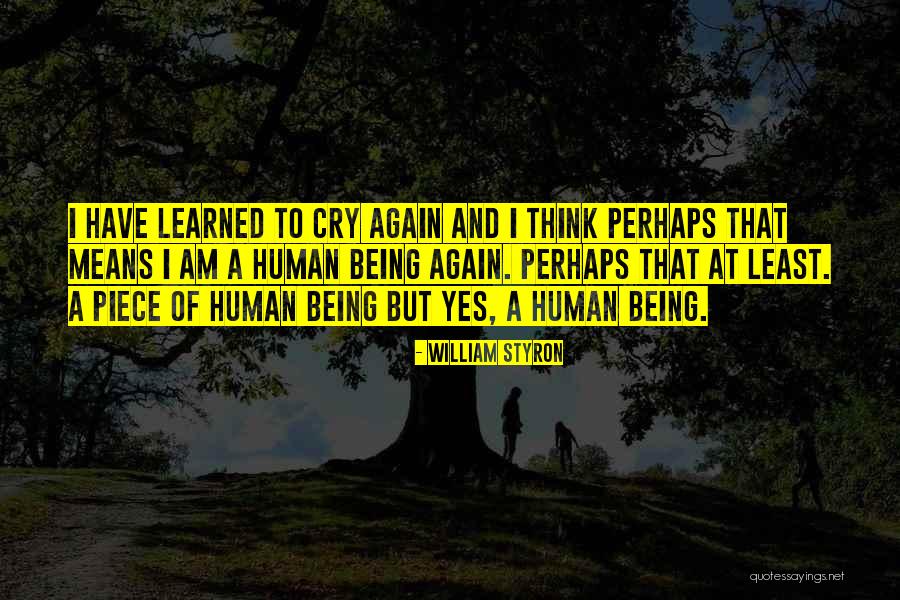 Terish Quotes By William Styron Terish Quotes By William Styron