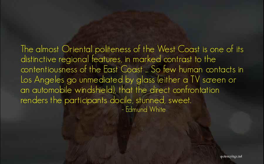 Teriso Quotes By Edmund White Teriso Quotes By Edmund White