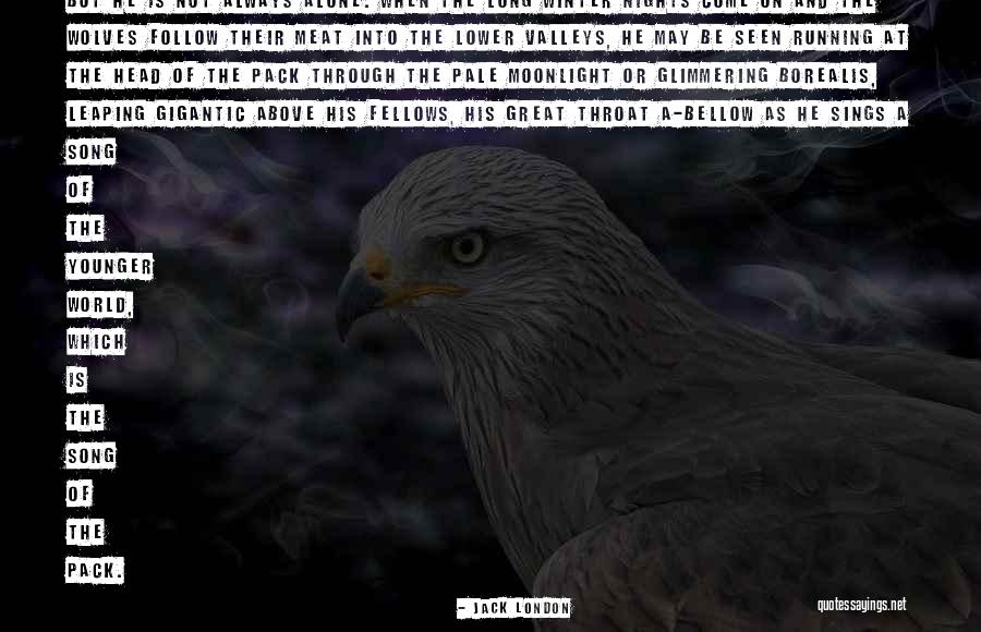 Termales Los Volcanes Quotes By Jack London Termales Los Volcanes Quotes By Jack London