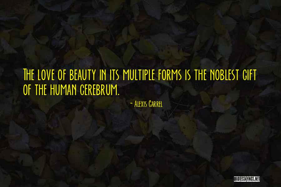 Termi Quotes By Alexis Carrel Termi Quotes By Alexis Carrel