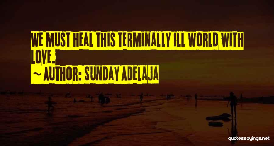 Terminally Ill Quotes By Sunday Adelaja