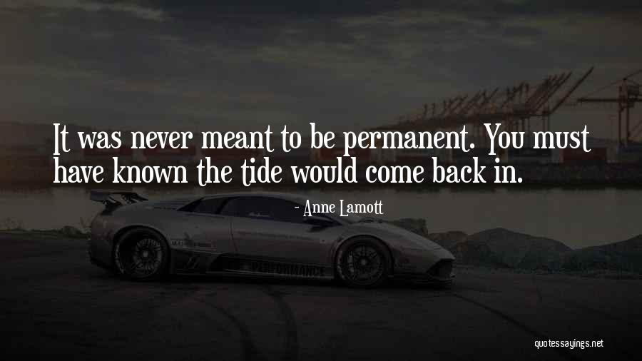 Terminological Analysis Quotes By Anne Lamott Terminological Analysis Quotes By Anne Lamott