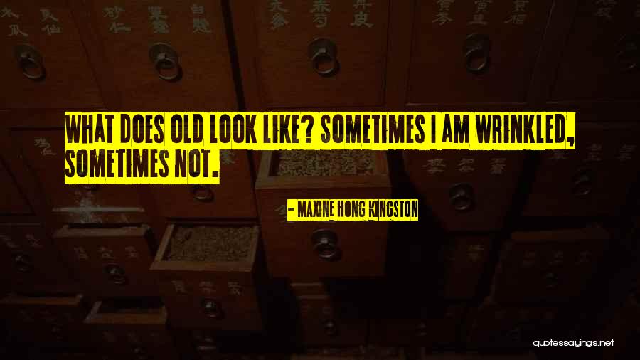 Terminuses Quotes By Maxine Hong Kingston Terminuses Quotes By Maxine Hong Kingston