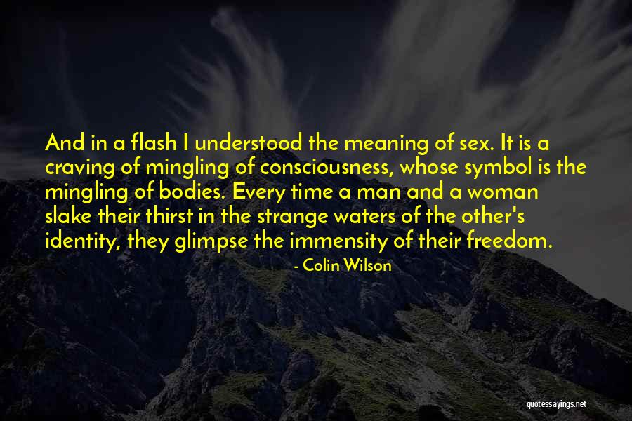 Termometri Wikipedia Quotes By Colin Wilson Termometri Wikipedia Quotes By Colin Wilson