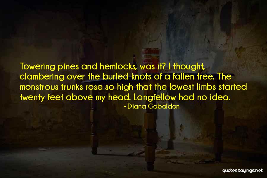 Termometria Quotes By Diana Gabaldon Termometria Quotes By Diana Gabaldon