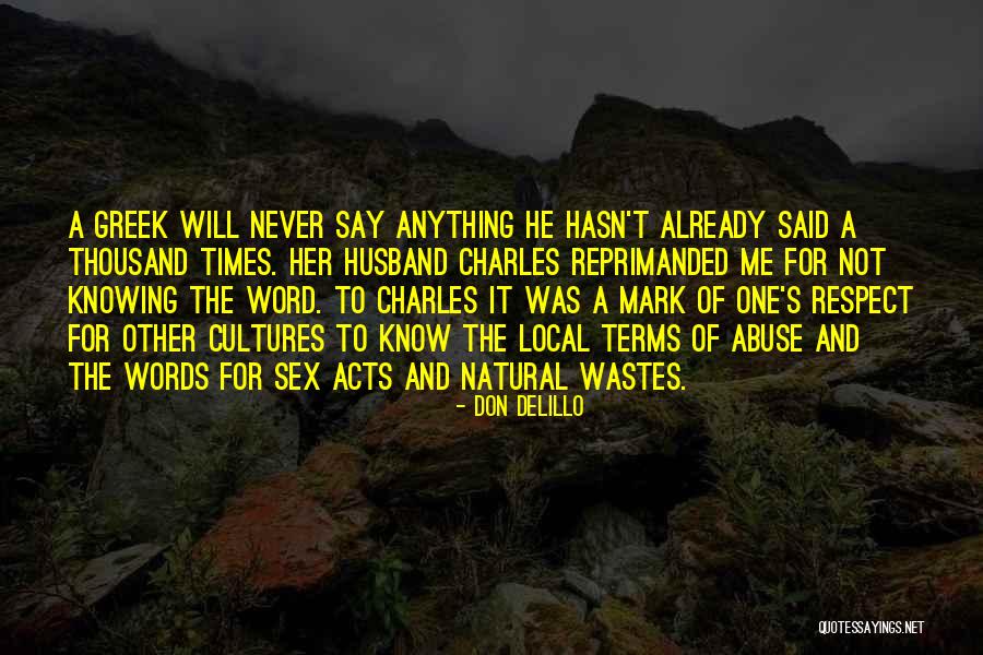 Terms Not Words Quotes By Don DeLillo Terms Not Words Quotes By Don DeLillo