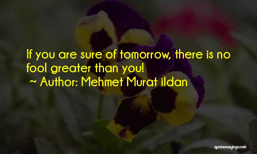 Terpland Quotes By Mehmet Murat Ildan