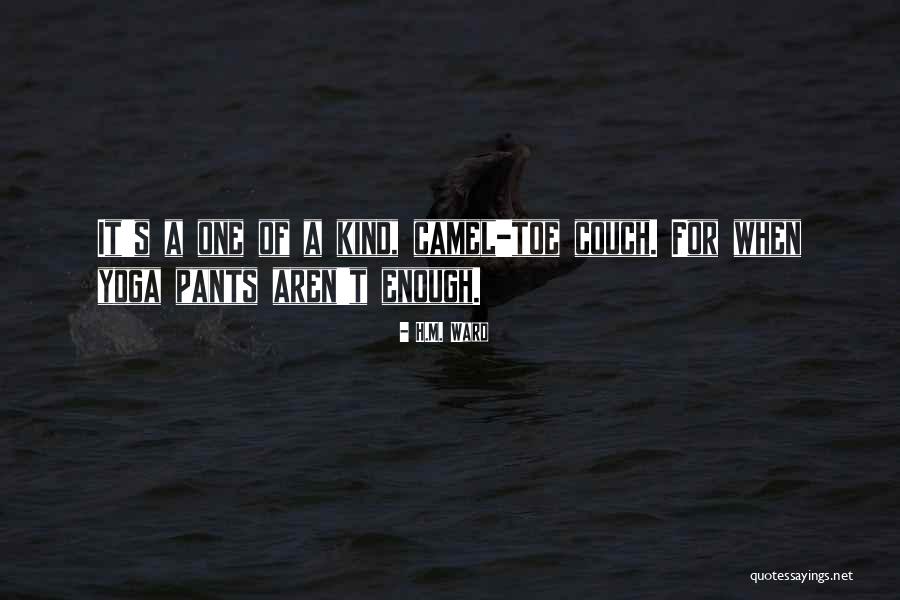 Terpning Artist Quotes By H.M. Ward Terpning Artist Quotes By H.M. Ward