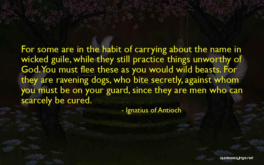 Terpning Artist Quotes By Ignatius Of Antioch Terpning Artist Quotes By Ignatius Of Antioch