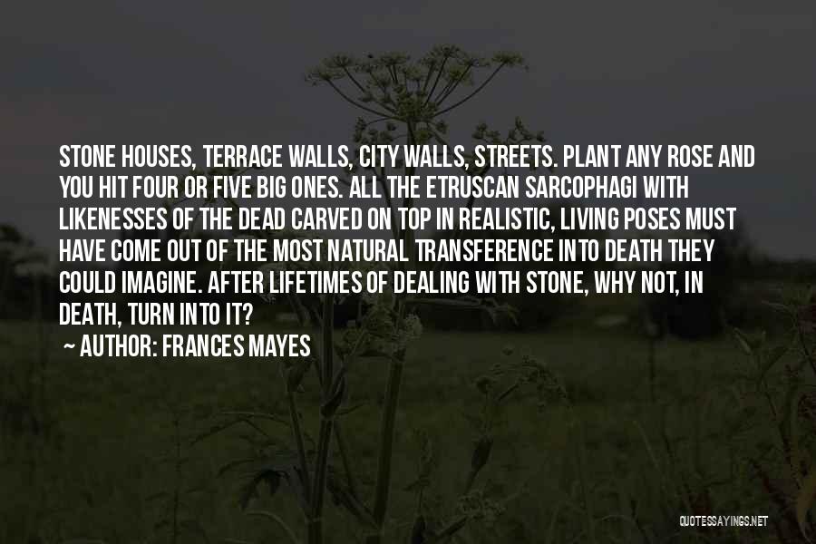 Terrace Quotes By Frances Mayes