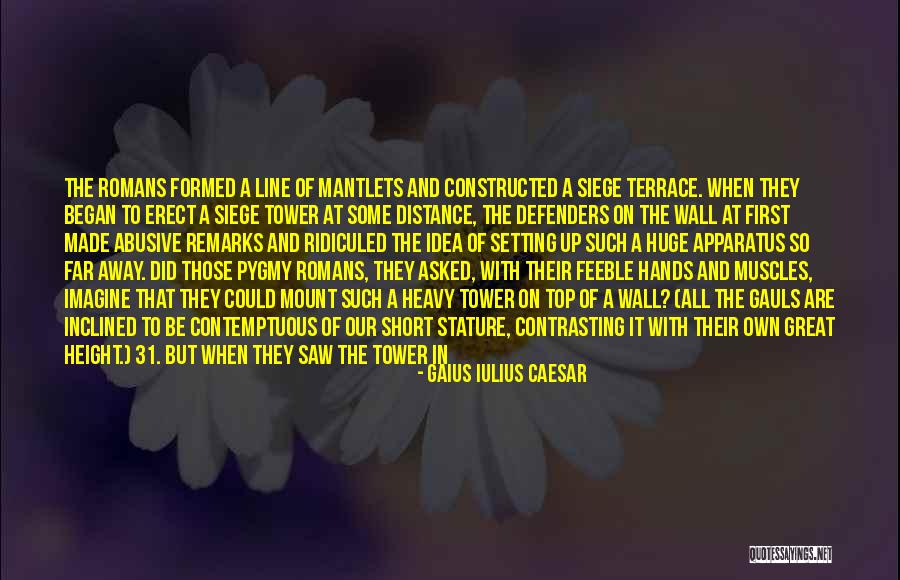 Terrace Quotes By Gaius Iulius Caesar