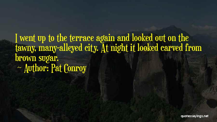 Terrace Quotes By Pat Conroy