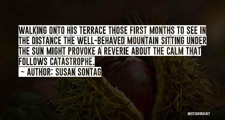 Terrace Quotes By Susan Sontag