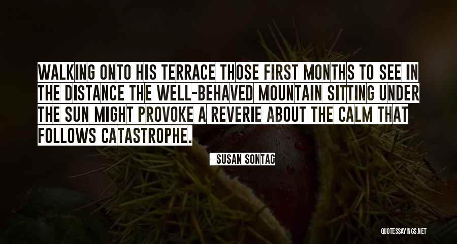 Terrace Quotes By Susan Sontag