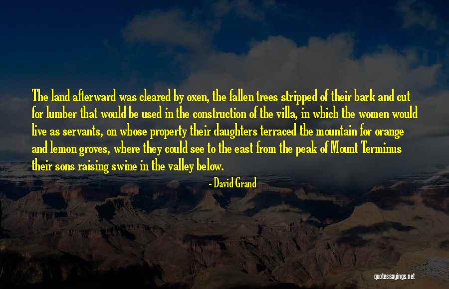 Terraced Quotes By David Grand Terraced Quotes By David Grand