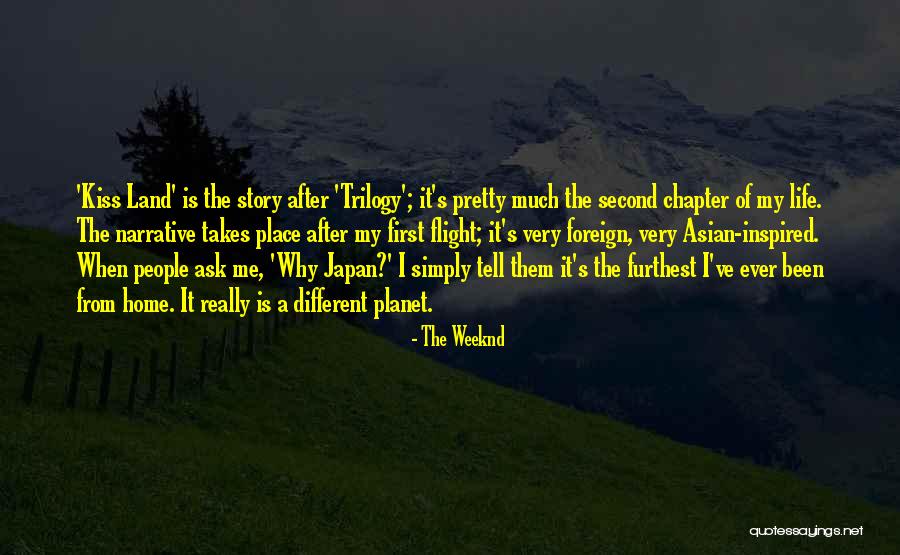 Terracino Pots Quotes By The Weeknd Terracino Pots Quotes By The Weeknd