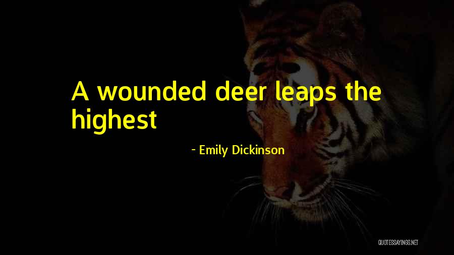 Terradome Quotes By Emily Dickinson Terradome Quotes By Emily Dickinson