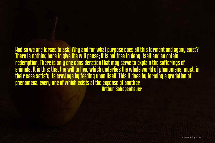 Terrador Quotes By Arthur Schopenhauer Terrador Quotes By Arthur Schopenhauer