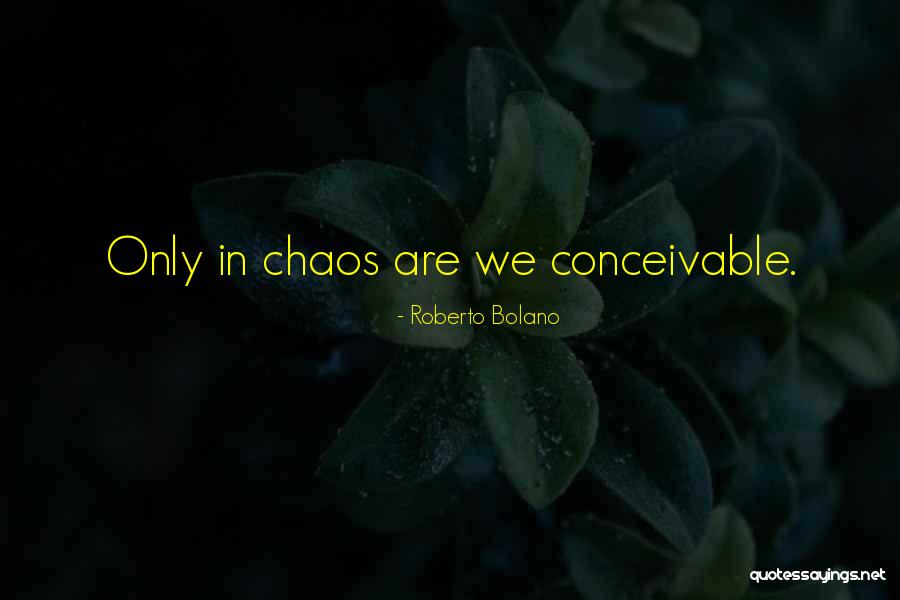 Terrador Quotes By Roberto Bolano