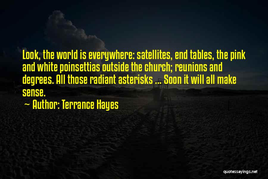 Terrance Hayes Quotes 1661443