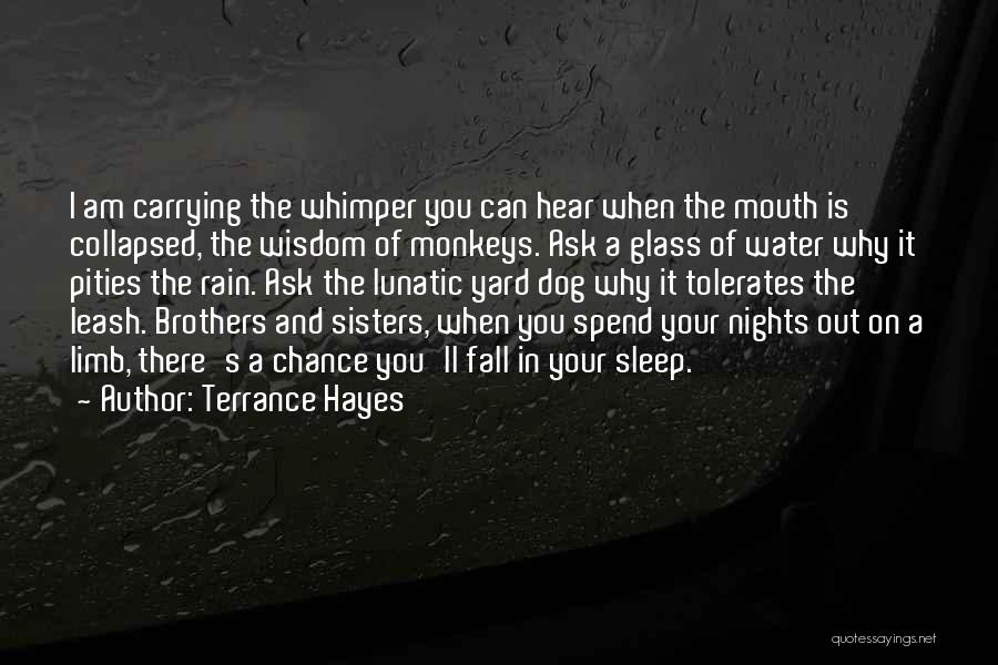 Terrance Hayes Quotes 1780600
