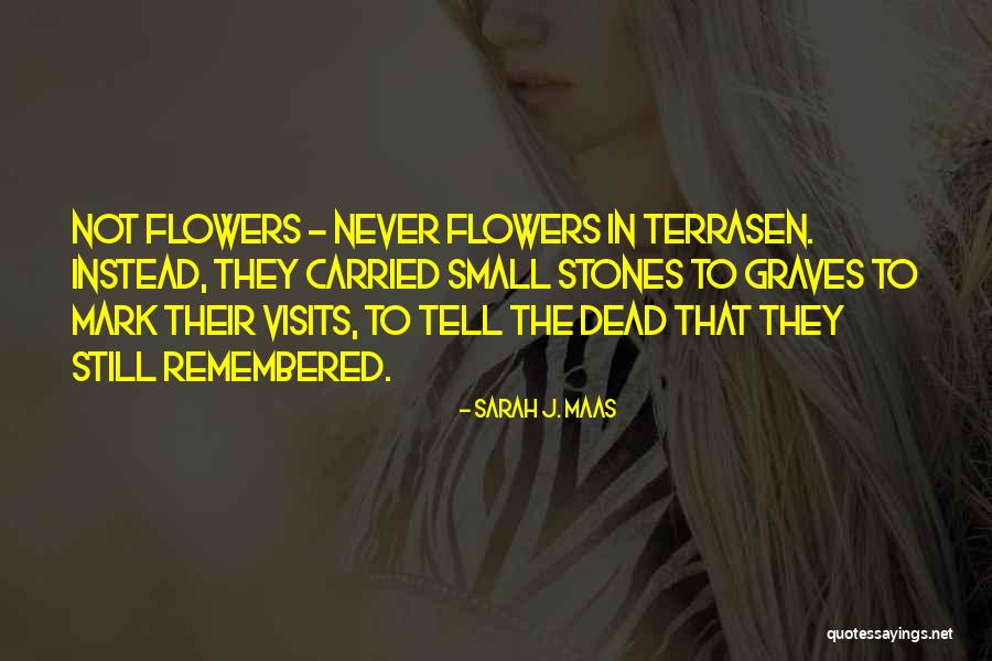 Terrasen Quotes By Sarah J. Maas Terrasen Quotes By Sarah J. Maas