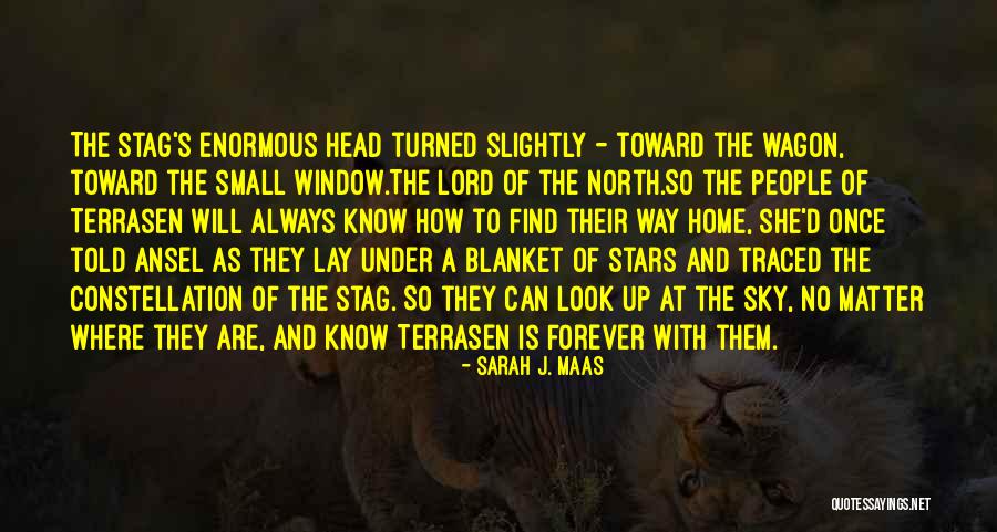 Terrasen Stag Quotes By Sarah J. Maas Terrasen Stag Quotes By Sarah J. Maas