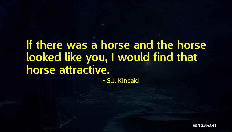 Terrena Samana Quotes By S.J. Kincaid Terrena Samana Quotes By S.J. Kincaid