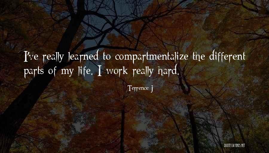 Terrence Quotes By Terrence J Terrence Quotes By Terrence J