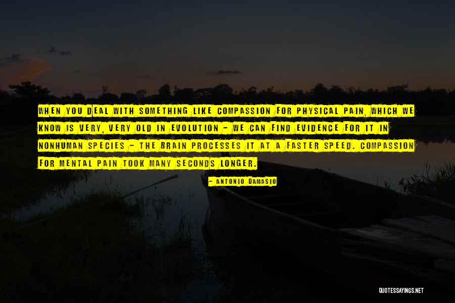 Terreur Sur Quotes By Antonio Damasio