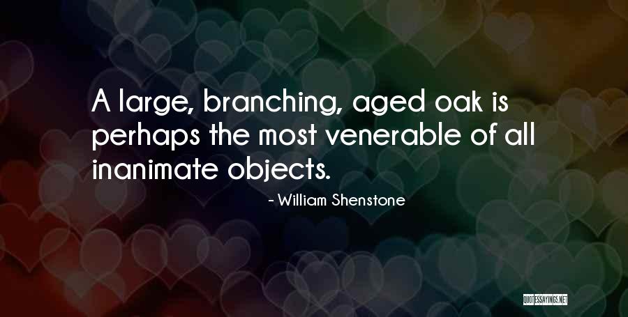 Terrey Glass Quotes By William Shenstone Terrey Glass Quotes By William Shenstone