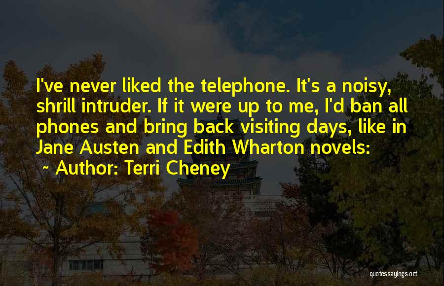 Terri Quotes By Terri Cheney