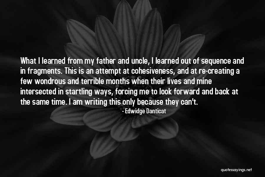 Terrible Father Quotes By Edwidge Danticat